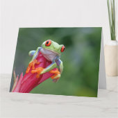 文字カスタムカエル カード (正面)