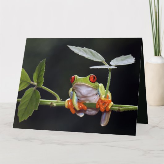 文字カスタムフロッグカード カード (正面)