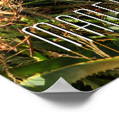 文字カスタムマデイラポルトガル ポスター (角)