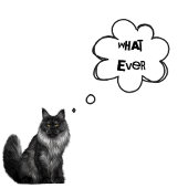 文字カスタム- Boys Whatever - Cats Forever Tシャツ