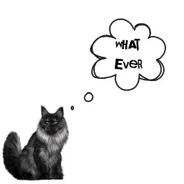 文字カスタム- Boys Whatever - Cats Forever Tシャツ