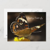 文字付き黄色い花のバケエ蝶 ポストカード (正面/裏面)