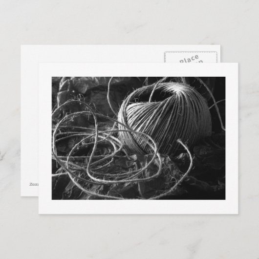 文字列 ポストカード (正面/裏面)