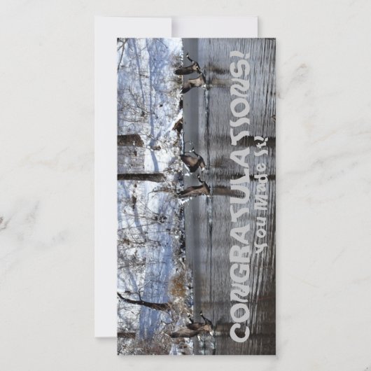 文字「おめでとう！」 (正面)