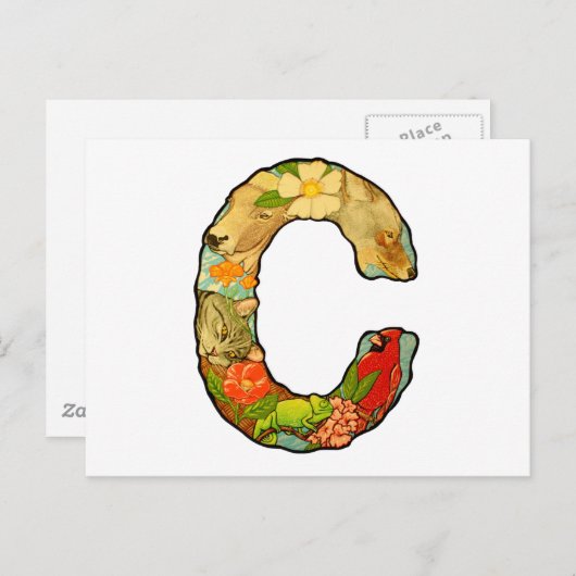 文字C ポストカード (正面/裏面)