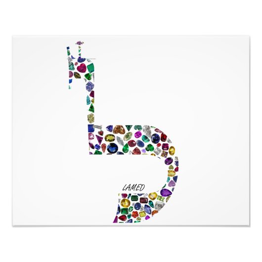 文字'LAMED' フォトプリント            (正面)