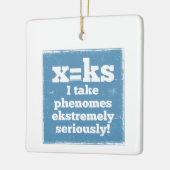 文字xフェノームks音韻論 セラミックオーナメント (左)