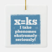 文字xフェノームks音韻論 セラミックオーナメント (裏面)