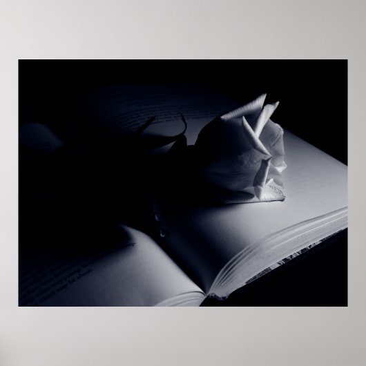 文学的バラ ポスター (正面)