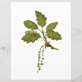 文房具で果実を収穫する (裏面)