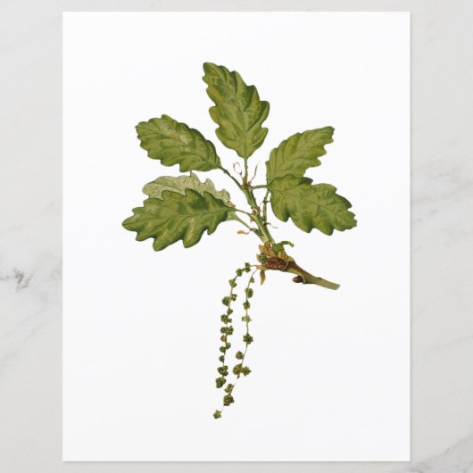 文房具で果実を収穫する (裏面)