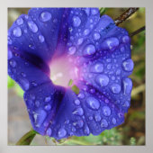 文房具と芸術 ポスター (正面)