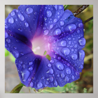 文房具と芸術 ポスター