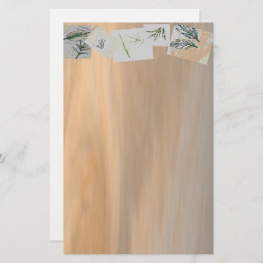 文房具の色彩の鮮やかな砂漠 便箋 (正面/裏面)