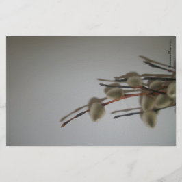 文房具シート(PussyWillows) RFPMDesigns ©️ 2012 便箋