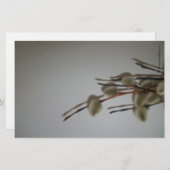 文房具シート(PussyWillows) RFPMDesigns ©️ 2012 便箋 (正面/裏面)