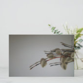 文房具シート(PussyWillows) RFPMDesigns ©️ 2012 便箋 (スタンド正面)