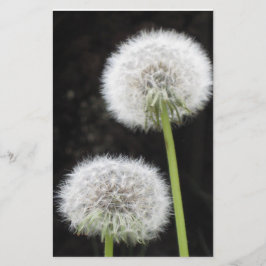 文房具 – Dandelion 便箋