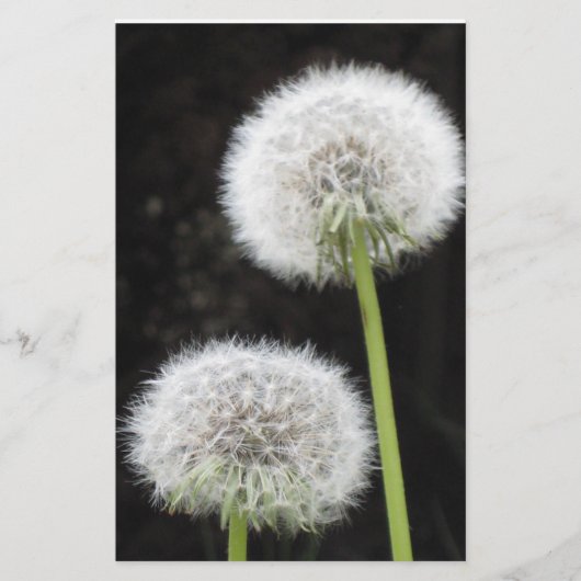 文房具 – Dandelion 便箋 (正面)