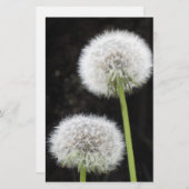 文房具 – Dandelion 便箋 (正面/裏面)