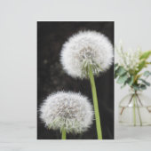 文房具 – Dandelion 便箋 (スタンド正面)