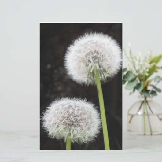 文房具 – Dandelion 便箋 (スタンド正面)