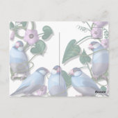 文鳥と朝のJAVA ポストカード (裏面)