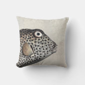 斑付きトランクフィッシュアンティーク版木、銅版、版画 クッション (正面)