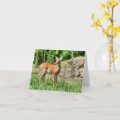 斑付き子鹿 カード (黄色い花)