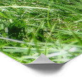 斑付き子鹿 ポスター (角)