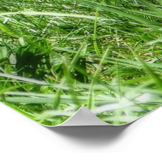 斑付き子鹿 ポスター (角)