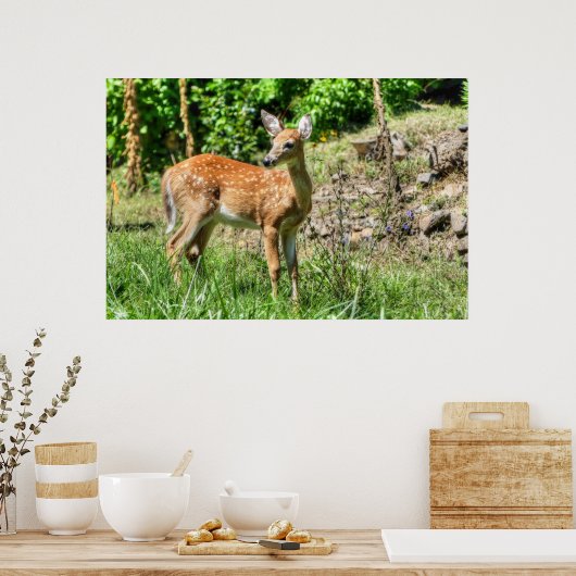 斑付き子鹿 ポスター (キッチン)