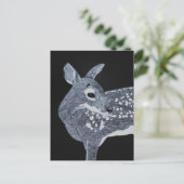 斑付き子鹿 ポストカード (スタンド正面)