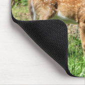 斑付き子鹿 マウスパッド (コーナー)