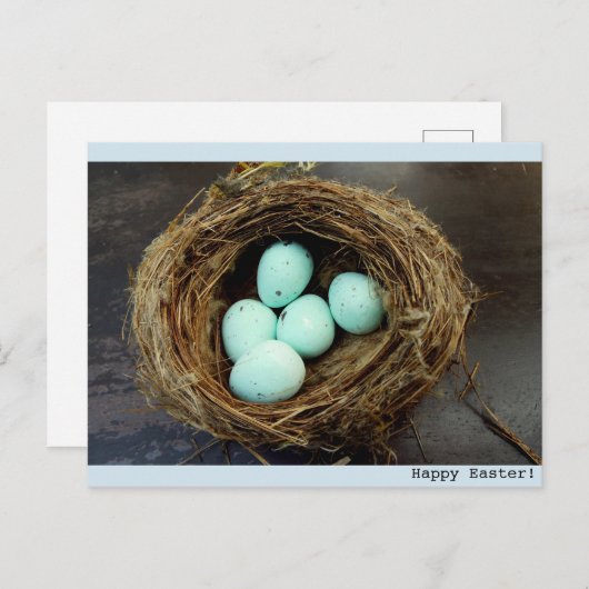 斑入りのイースターエッグは鳥の巣の写真を実在します シーズンポストカード (正面/裏面)