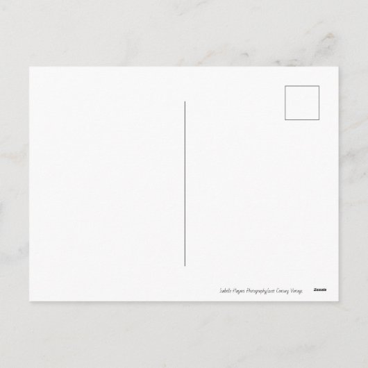 斑入りのイースターエッグは鳥の巣の写真を実在します シーズンポストカード (裏面)