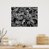 斑入りのクスノキ、アウクバ・ジャポニカ - 白黒 ポスター (キッチン)