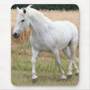 斑入りの白馬 マウスパッド