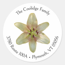 斑入りイエローリリーフラワーラウンド住所 シール