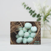 斑入りイースター実在卵鳥の巣の写真 シーズンポストカード (スタンド正面)