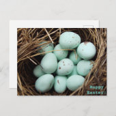 斑入りイースター実在卵鳥の巣の写真 シーズンポストカード (正面/裏面)