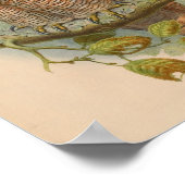 斑入りウッドフクロウ茶色ヴィンテージバードアートプリント ポスター (角)