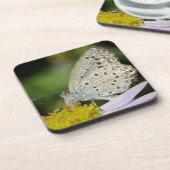 斑入りクリーム色の蝶 コースター (左側)