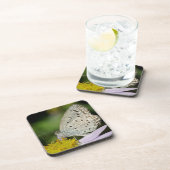 斑入りクリーム色の蝶 コースター (右側)