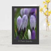 斑入りクロキュース – 最深悔やみや弔慰 カード (黄色い花)