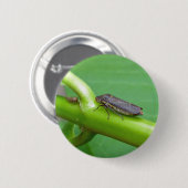 斑入りシャープシューティングリーフホッパーのアイテム 缶バッジ (正面&裏面)