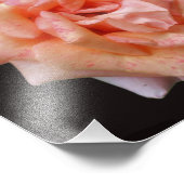 斑入りピーチバライン開花8x8 フォトプリント            (角)