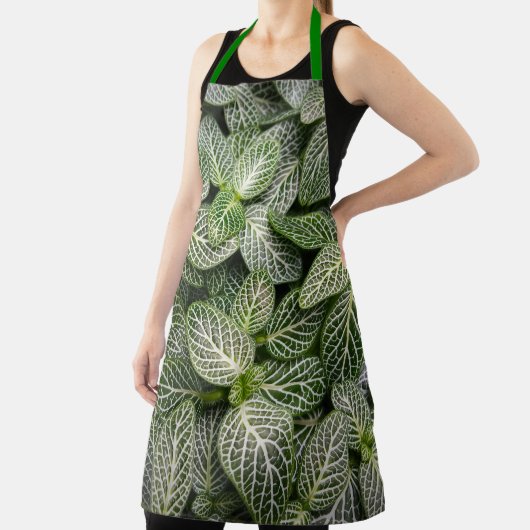 斑入りモザイク葉植物 エプロン (インサイチュ)