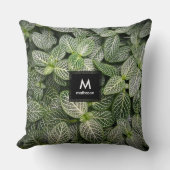 斑入りモザイク葉植物 クッション (正面)