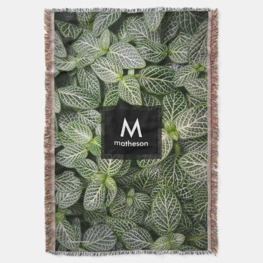 斑入りモザイク葉植物 スローブランケット (正面縦)